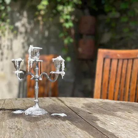 Berthe Artist House *