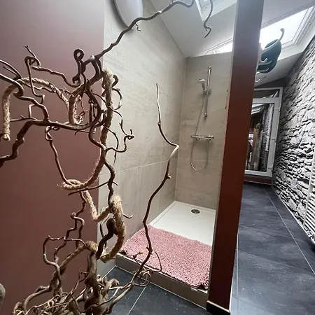 Daire Berthe Artist House La-Roche-en-Ardenne